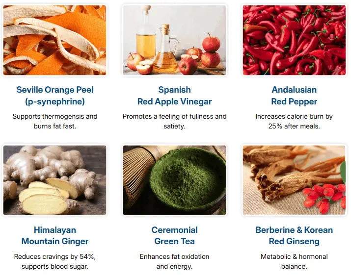 Ingredients Of CitrusBurn™